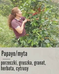 Good Coffee - Kolumbia, Maria Belen Diaz - 250g